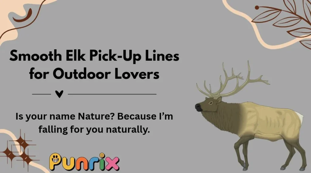 Smooth Elk Pick-Up Lines for Outdoor Lovers