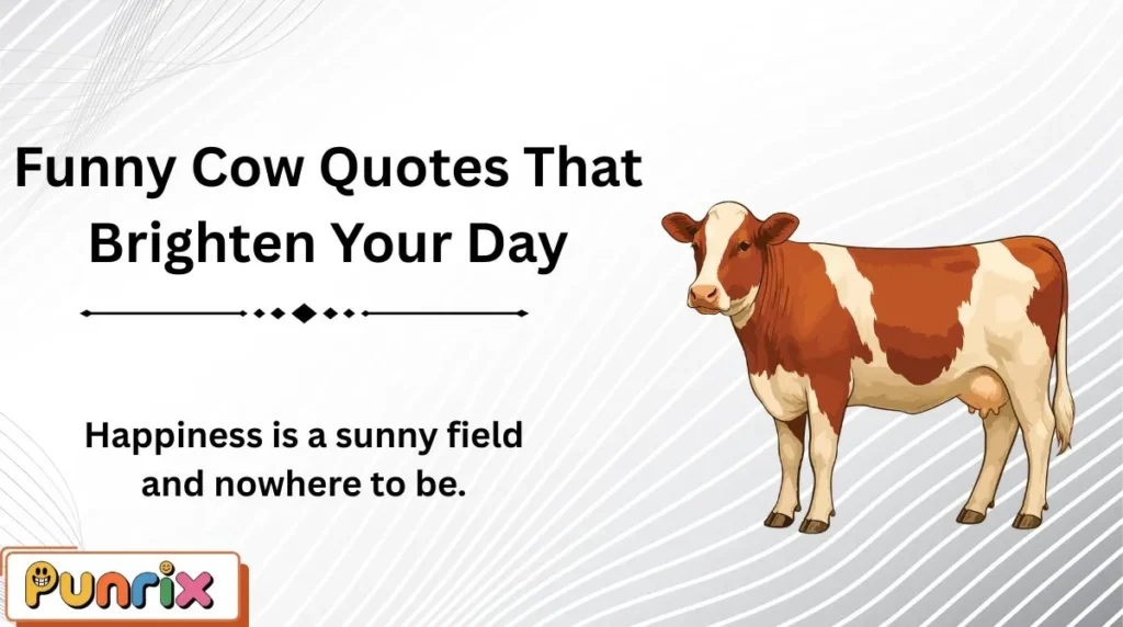 Funny Cow Quotes That Brighten Your Day
