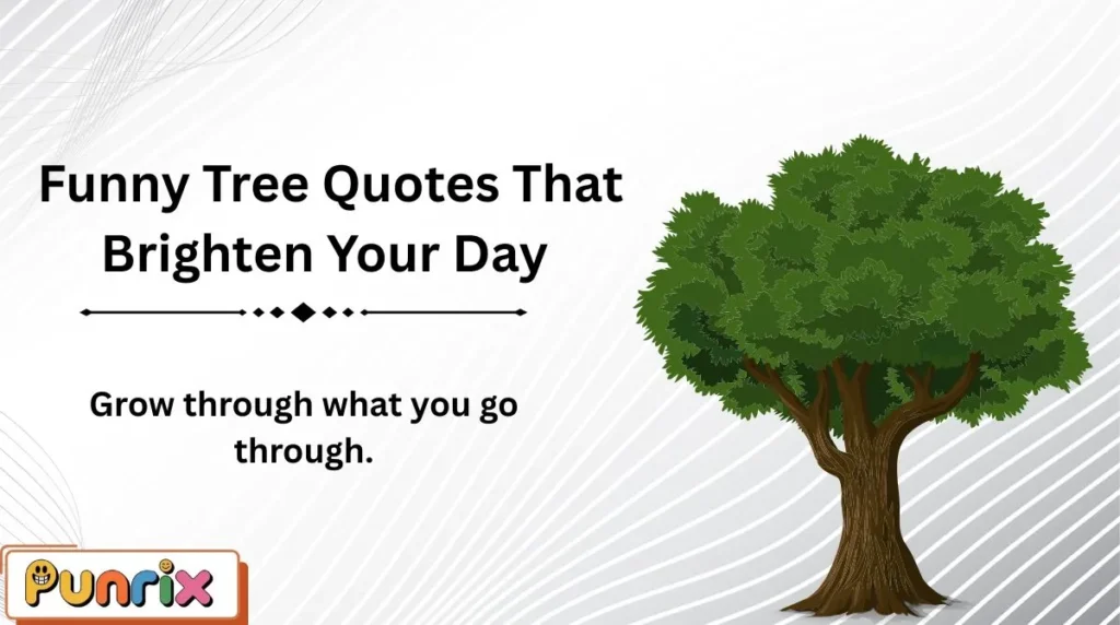 Funny Tree Quotes That Brighten Your Day