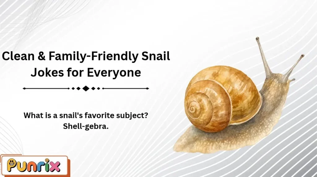 Clean & Family-Friendly Snail Jokes for Everyone