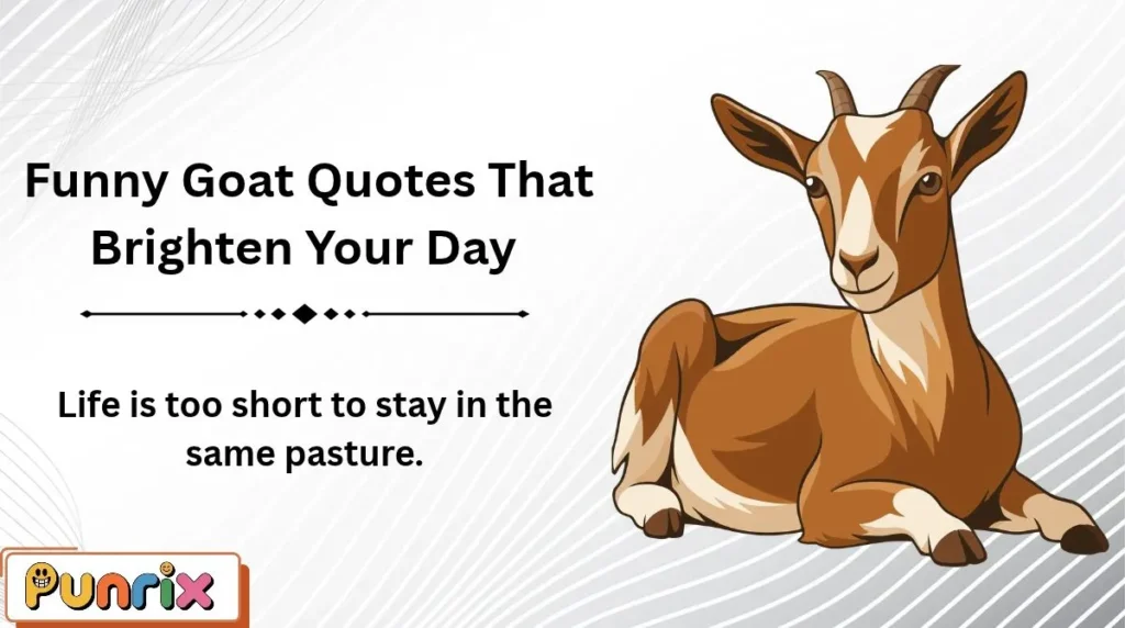 Funny Goat Quotes That Brighten Your Day