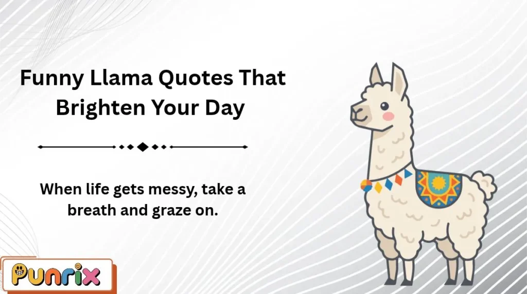  Funny Llama Quotes That Brighten Your Day