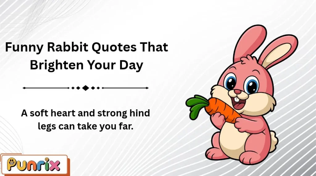 Funny Rabbit Quotes That Brighten Your Day
