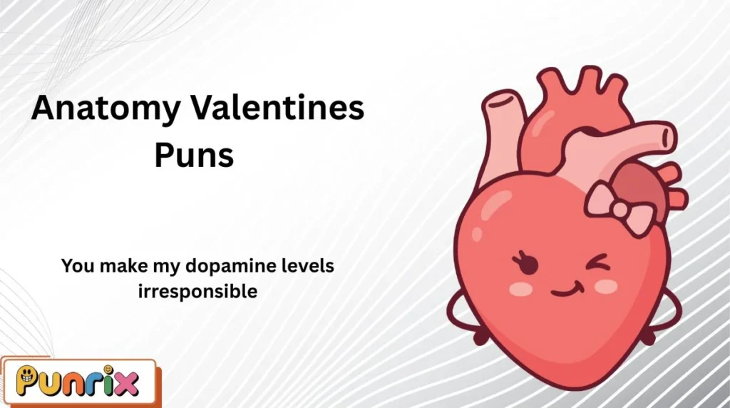 Anatomy Valentines Puns