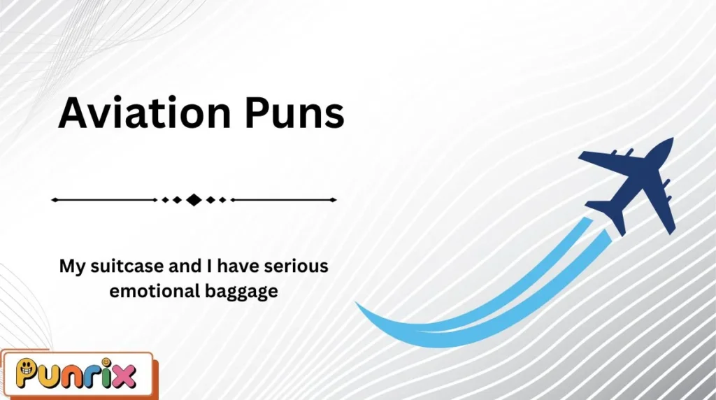 Aviation Puns