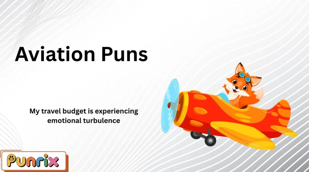 Aviation Puns