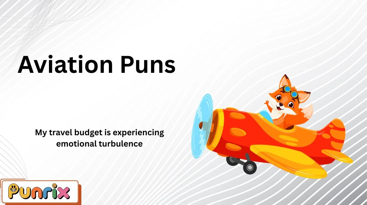 Aviation Puns