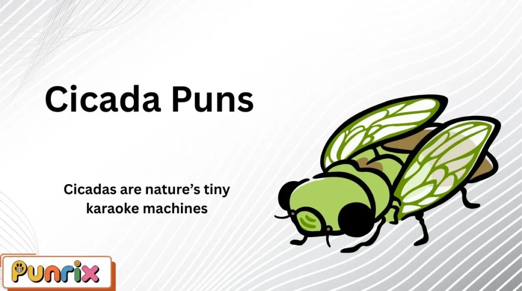Cicada Puns
