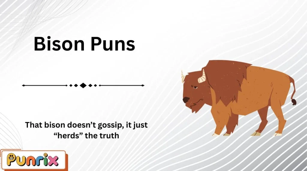 Bison Puns