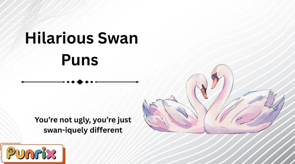 Hilarious Swan Puns
