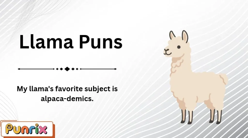 Llama Puns