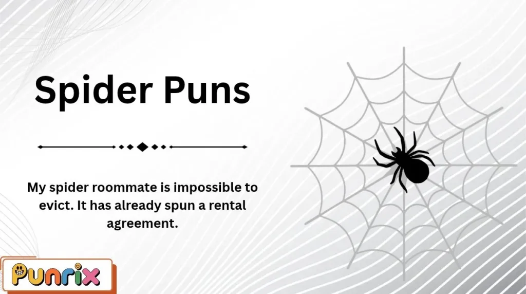 Spider Puns