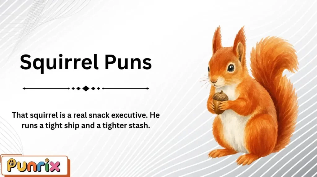 Squirrel Puns